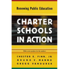 Charter Schools in Action: Renewing Public Education - Paperback