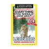 Everything You Should Know About: Leopards Faster Learning Facts - Paperback