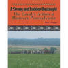 A Strong and Sudden Onslaught: The Cavalry Action at Hanover, Pennsylvania - Paperback