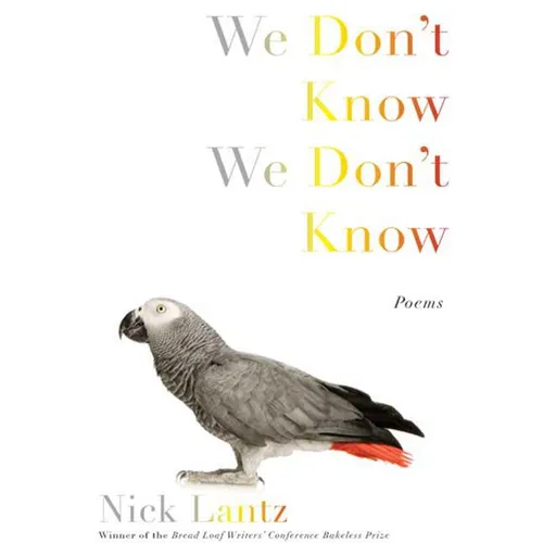 We Don't Know We Don't Know: Poems - Paperback