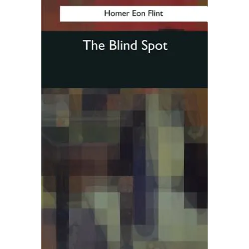 The Blind Spot - Paperback