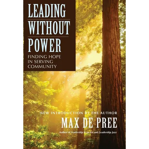 Leading Without Power: Finding Hope in Serving Community - Paperback