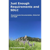 Just Enough Requirements and SDLC: Requirements Documentation, Waterfall, and Agile - Paperback