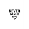 Never Never Give Up - Paperback
