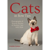 Cats in Bow Ties: Photographs & Rescue Stories of Shelter Cats with Style - Paperback