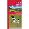 Italy Birds: A Folding Pocket Guide to Familiar Species - Paperback