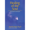 Healing of the Soul: Shamanism and Psyche - Paperback
