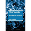 Spirituality: A Guide for the Perplexed - Paperback