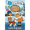 Molly of Denali: Little Dog Lost - Paperback