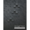 Isometric Graph Paper Notebook: 3D Graph Paper 1/4 Inch Equilateral Triangle Engineer Notebook Drafting Paper Isometric pad - Paperback