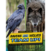 Ravens and Wolves Team Up! - Paperback