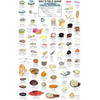 Mac's Field Guides: Northwest Coastal Invertebrates - Paperback
