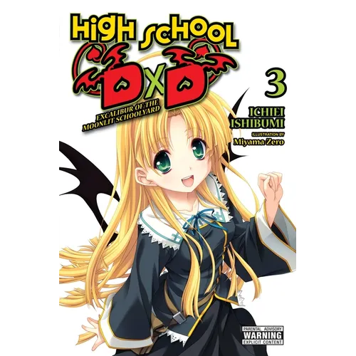 High School DXD, Vol. 3 (Light Novel): Excalibur of the Moonlit Schoolyard Volume 3 - Paperback