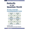 The Butterfly in the Quantum World: The story of the most fascinating quantum fractal - Paperback
