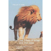 The Lost Tribes Tribes Of Israel And The Jews - Paperback