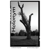 Holonym - Paperback