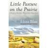 Little Pasture on the Prairie: A Decade of Tales from a Western South Dakota Ranch - Paperback