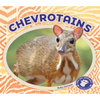 Chevrotains - Library Binding
