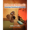 Solomon Squirrel's Amazing Chanukah Adventure - Paperback