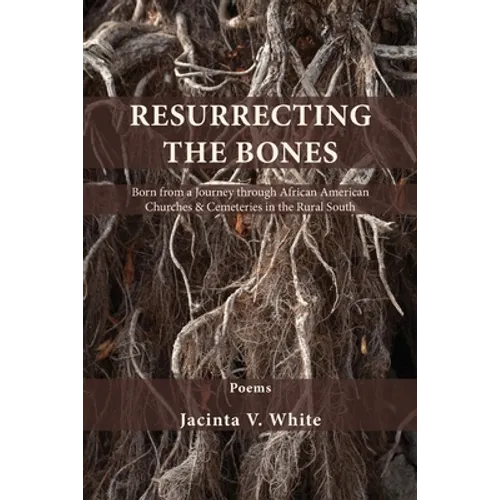Resurrecting the Bones: Born from a Journey through African American Churches & Cemeteries in the Rural South - Paperback