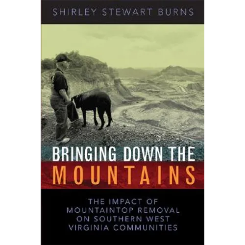 Bringing Down the Mountains: The Impact of Moutaintop Removal Surface Coal Mining on Southern West Virginia Communities - Paperback