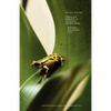 Second Nature: Origins and Originality in Art, Science, and New Media - Paperback