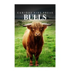 Bulls - Curious Kids Press - Paperback
