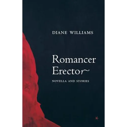 Romancer Erector - Paperback