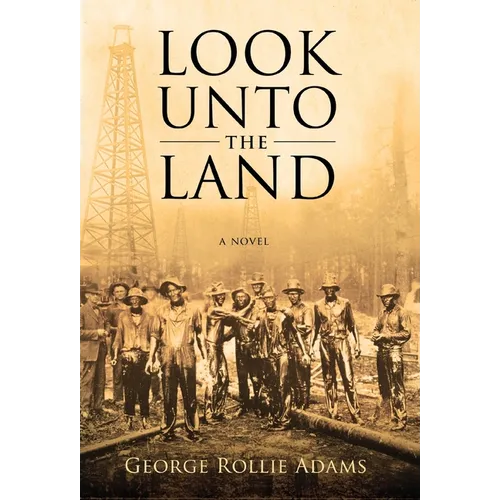 Look Unto the Land - Hardcover