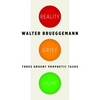 Reality, Grief, Hope: Three Urgent Prophetic Tasks - Paperback