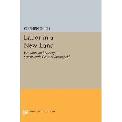 Labor in a New Land: Economy and Society in Seventeenth-Century Springfield - Paperback