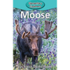 Moose - Hardcover