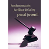 Fundamentacion Juridica de La Ley Penal Juvenil - Paperback