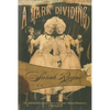 A Dark Dividing - Paperback