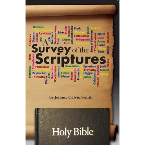 A Survey of the Scriptures - Paperback