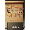 A Survey of the Scriptures - Paperback