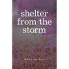 Shelter from the Storm - Paperback