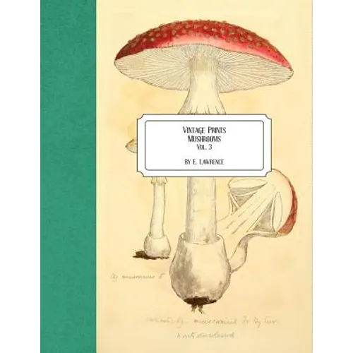 Vintage Prints: Mushrooms: Vol. 3 - Paperback