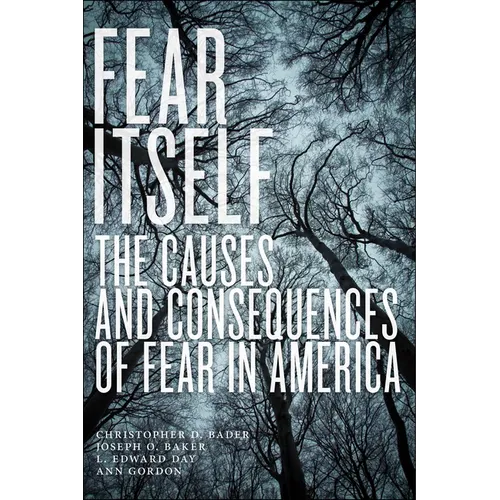 Fear Itself: The Causes and Consequences of Fear in America - Paperback