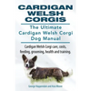 Cardigan Welsh Corgis. The Ultimate Cardigan Welsh Corgi Dog Manual. Cardigan Welsh Corgi care, costs, feeding, grooming, health and training. - Paperback