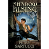 Shadow Rising: Sequel to 'Shadow and Light' - Paperback
