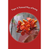 Yoga: A Natural Way of being: A nine-week, easy-to-do programme for initiation into adopting yoga as a way of life - Paperback