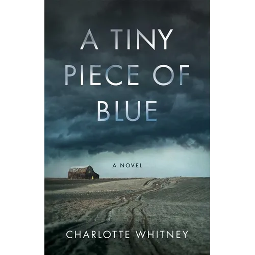 A Tiny Piece of Blue - Paperback