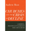 Churches and the Crisis of Decline: A Hopeful, Practical Ecclesiology for a Secular Age - Paperback