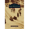 Bear Mountain - Hardcover