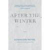 After the Winter - Paperback