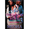 An Unforeseen Love 3 - Paperback