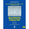 Atlas de Monitorizacion Biofisica Fetal Anormal En El Embarazo Y Parto - Paperback