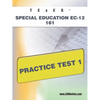 TExES Special Education Ec-12 161 Practice Test 1 - Paperback