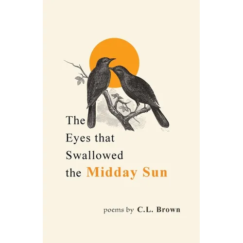 The Eyes That Swallowed the Midday Sun - Paperback
